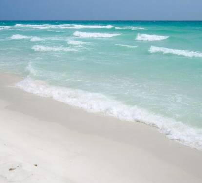 Photo #12