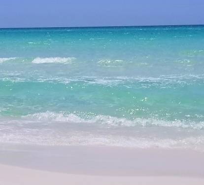 Photo #42