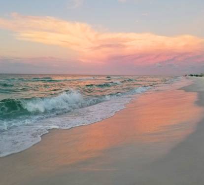 Photo #12