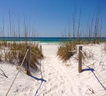 Photo #15