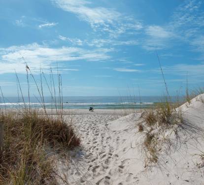 Photo #28