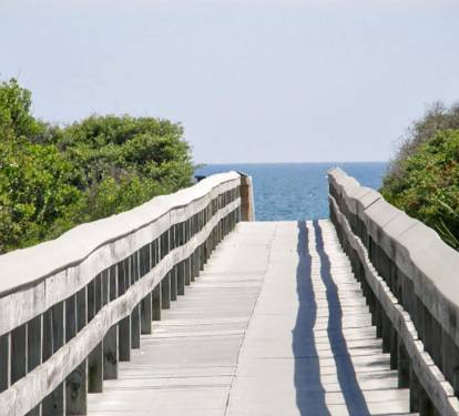 Photo #16