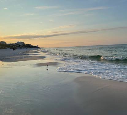 Photo #13