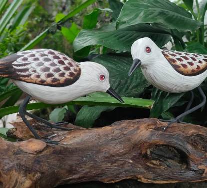 Photo #16