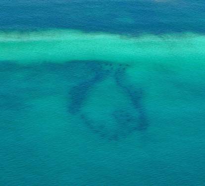 Photo #76
