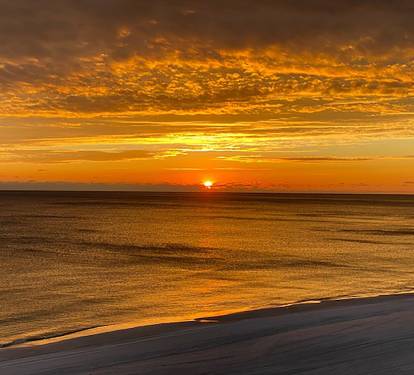 Photo #99