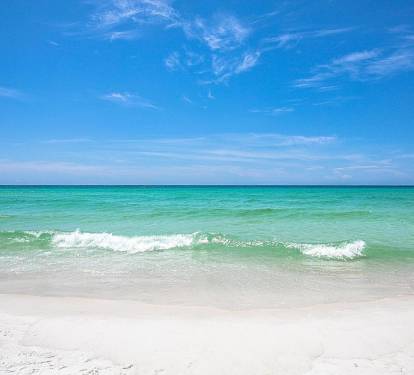 Photo #16