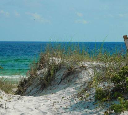Photo #9