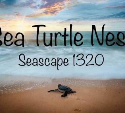 Photo #61
