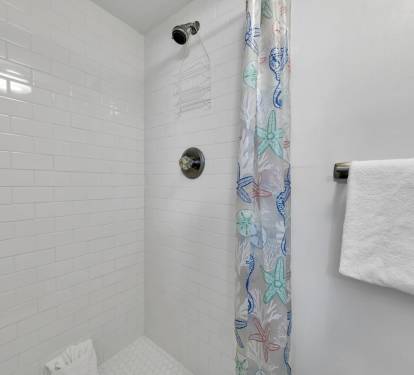 Master Bathroom 1 Part 2