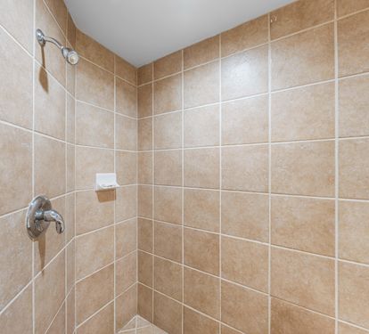 Walk In Shower