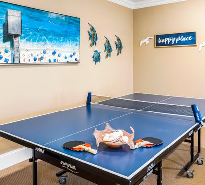 Ping Pong Table