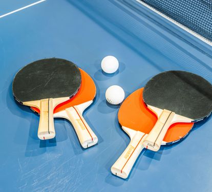 Ping Pong Table with Equipment Provided