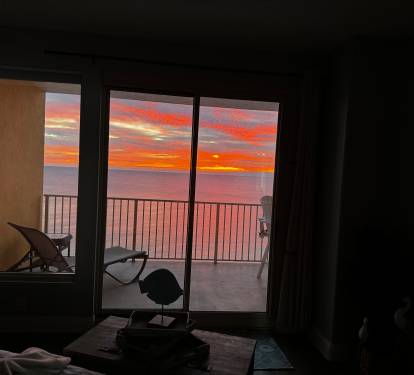 Photo #99