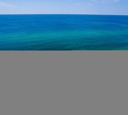 Photo #63