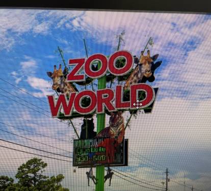 Photo #81