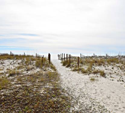 Photo #45