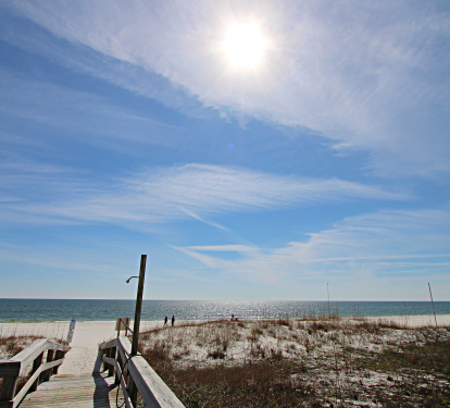 Photo #16