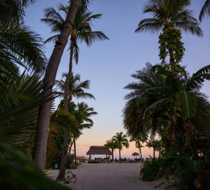 Photo #16
