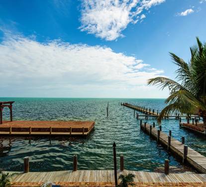 Photo #15