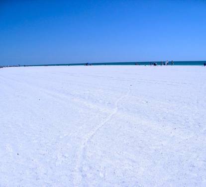 Photo #16