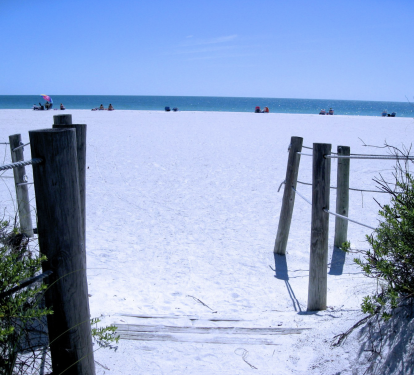 Photo #21