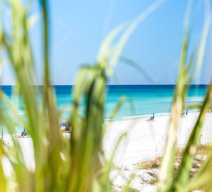 Crystal Blue Waters!