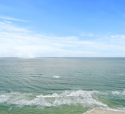 Photo #31