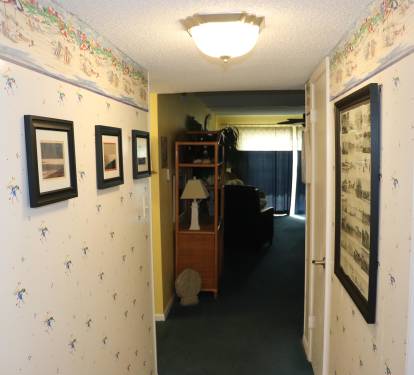 Photo #41