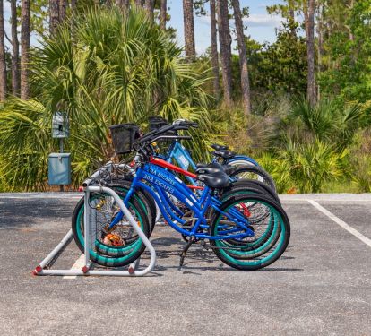 Hop on 30A Escapes Bikes & Go For a Ride!