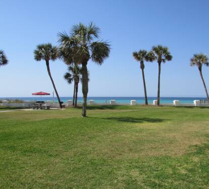 Photo #44