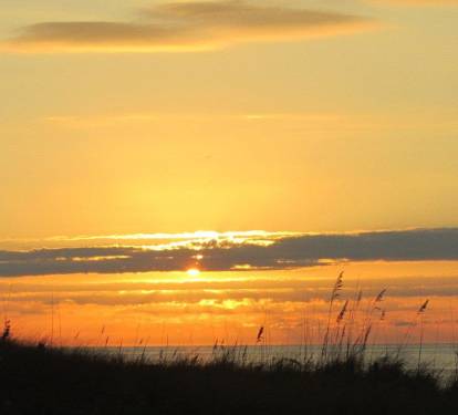 Photo #77