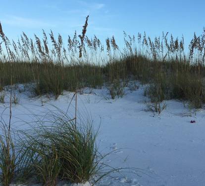 Photo #93