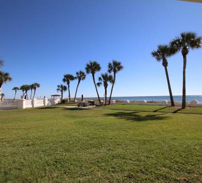 Photo #61