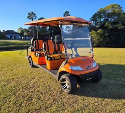 6-Seater Golf Cart