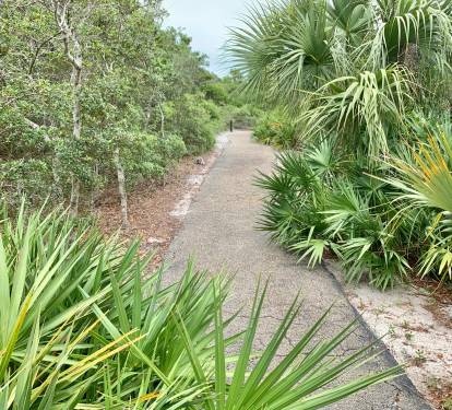 Entrance to the beach just steps away from your condo