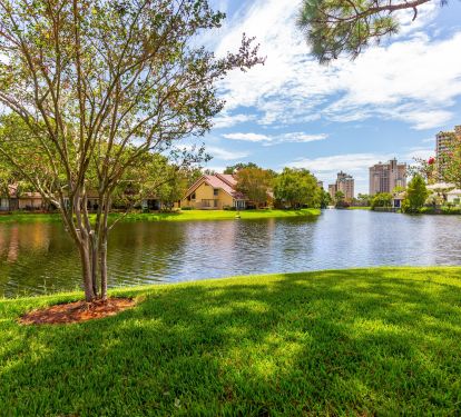 Beautiful Lake views