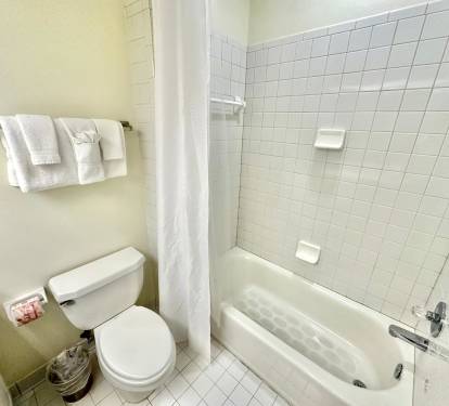 Upstairs Guest Bathroom