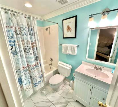 Guest Bathroom