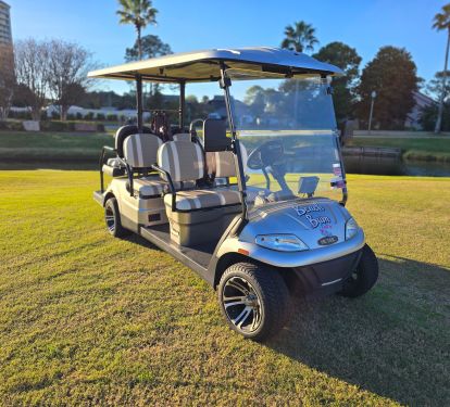 6-Seater Golf Cart