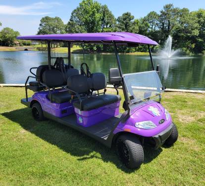 New 6-Seater Golf Cart