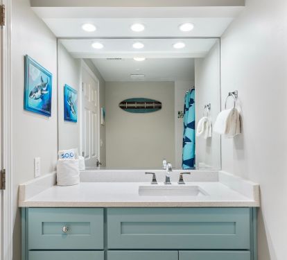 Guest bathroom