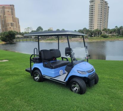 New Golf Cart