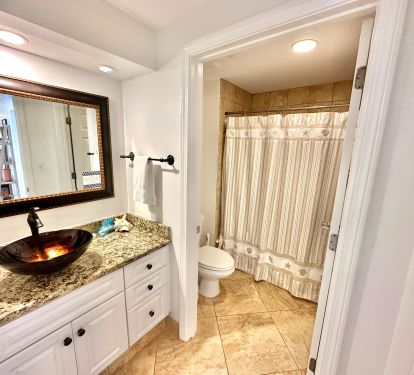 Guest bathroom