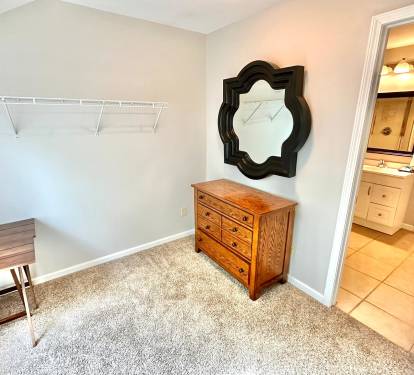 Closet and Bathroom