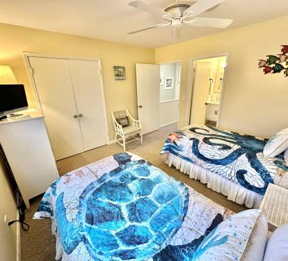 Guest Bedroom - Twins