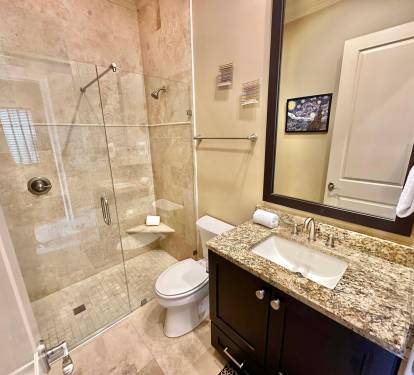 Downstairs Guest Bathroom