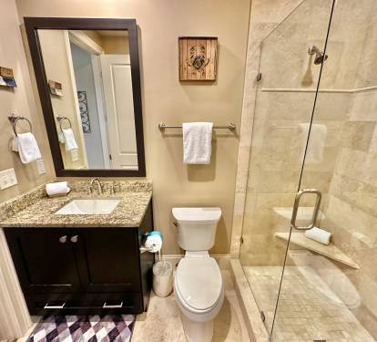 Guest Bathroom - Bunks
