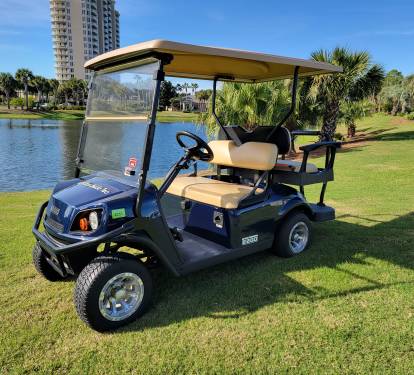 4-Seater Golf Cart Included!
