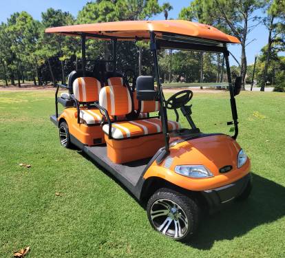 6 Seater Golf Included